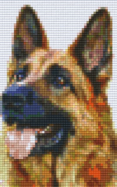 802093 Pixelhobby Klassik Set Schäferhund 5