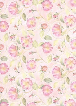 Hintergrundpapier wilde Rose