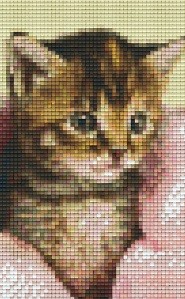 802105 Pixelhobby Klassik Set Kätzchen 6