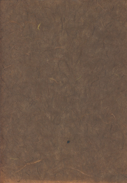 1012575 Naturpapier Strohseide A4 braun