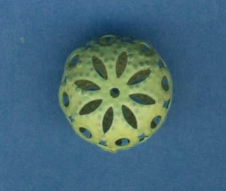 Ornamentperle 14x8mm pastellgrün