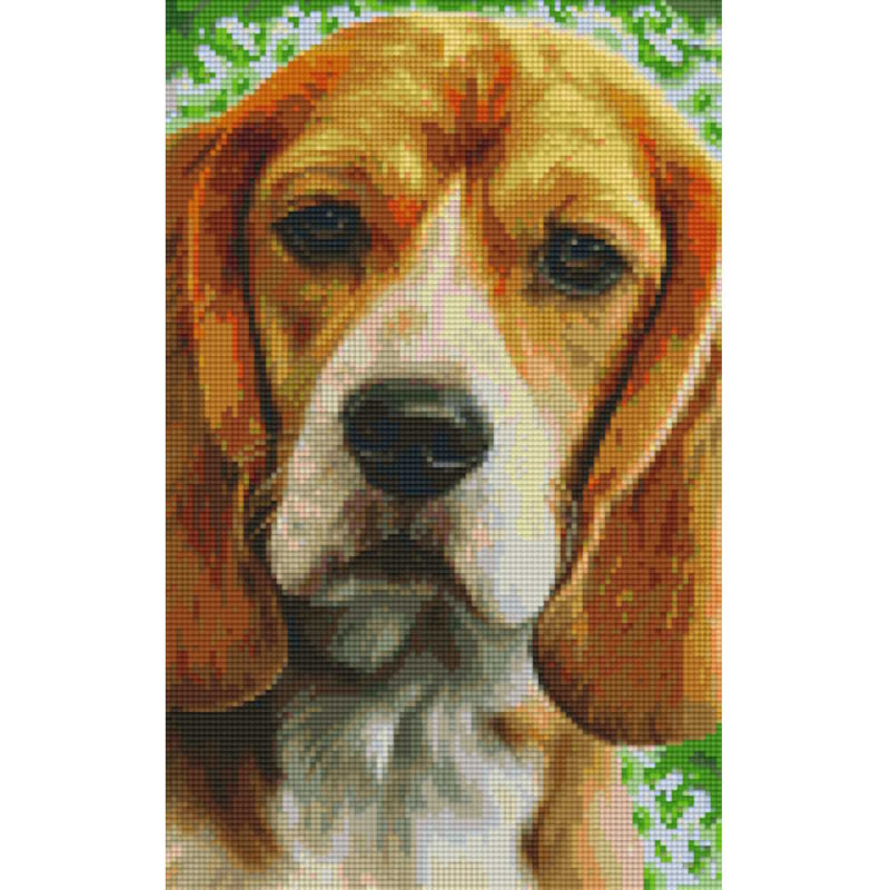 808089 Pixelhobby Klassik Set Hund 13