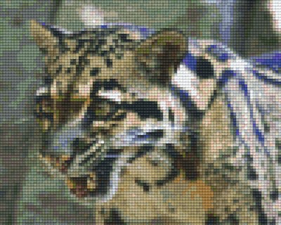 804274 Pixelhobby Klassik Set Leopard 9
