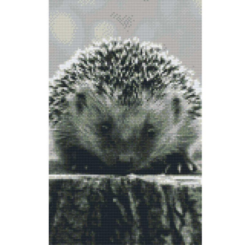 808083 Pixelhobby Klassik Set Igel 3
