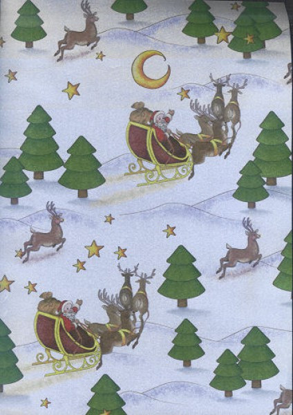 tp62 Transparentpapier A4 Winterwald