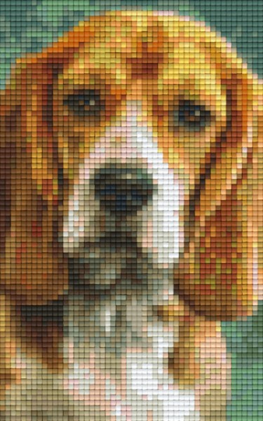 802092 Pixelhobby Klassik Set Beagle