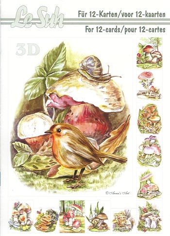 3D Motivbuch Pilze A5
