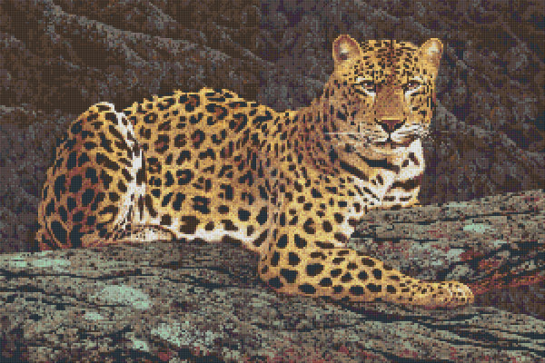 830045 Pixelhobby Klassik Set Leopard 12