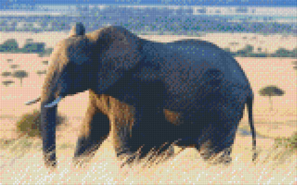 808030 Pixelhobby Klassik Set Elefant 5