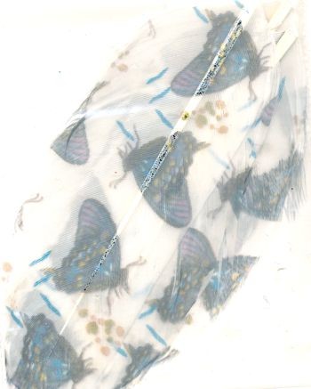 005203547_Federn-weiß-mit-Schmetterlinge-blau-5-Stück