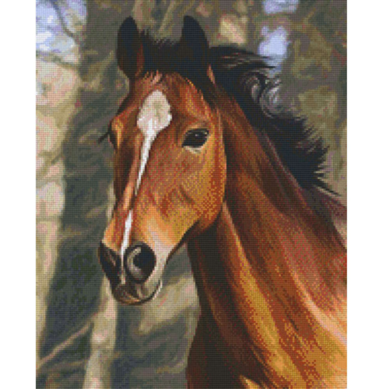 816195 Pixelhobby Klassik Set Pferd 12