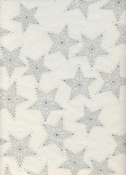 3981611 Vlies Sterne silber glitter