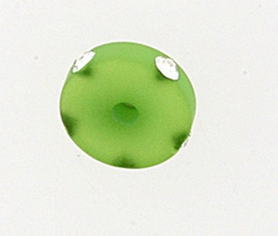 Polaris Strassrondell 10mm hellgrün matt