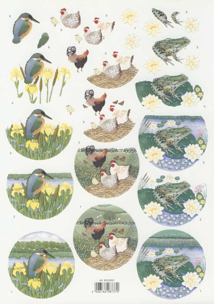 8243000 3D Motivbogen A4 Eisvogel Hahn Frosch