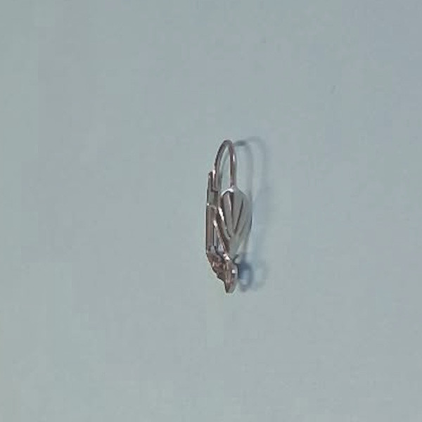 k14603691 Ohrring Brisur mit Blatt Edelstahl
