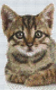 802104 Pixelhobby Klassik Set Kätzchen 5