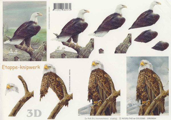 416932 3D Motivbogen A4 Adler