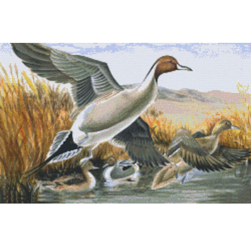 820077 Pixelhobby Klassik Set Enten 2