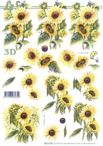 8215370_3D-Motivbogen-Sonnenblume