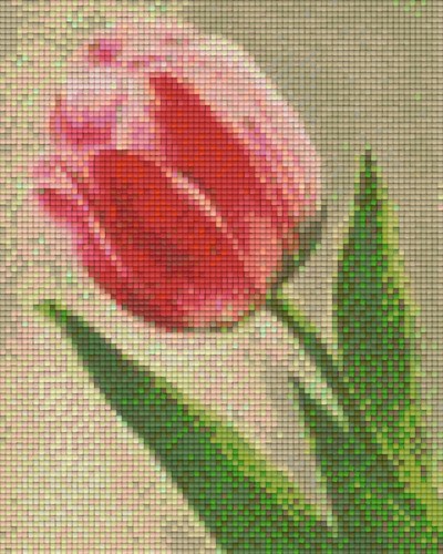 804073 Pixelhobby Klassik Set Tulpe