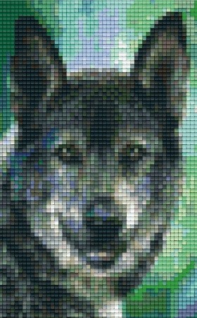 802096 Pixelhobby Klassik Set Wolf 4