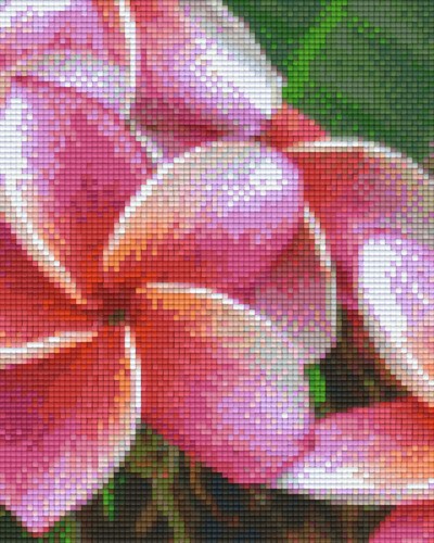 804477 Pixelhobby Klassik Set Blumen rosa