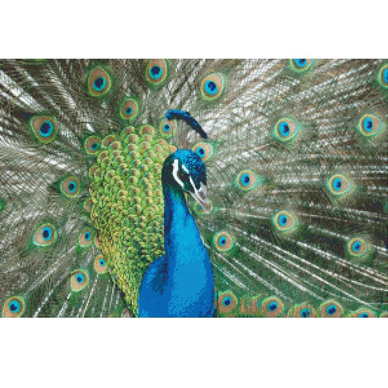 830004 Pixelhobby Klassik Set Pfau 2
