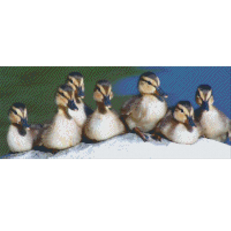 808016 Pixelhobby Klassik Set Enten 3