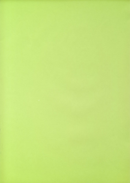 4822452 Heyda Transparentpapier maigrün A4