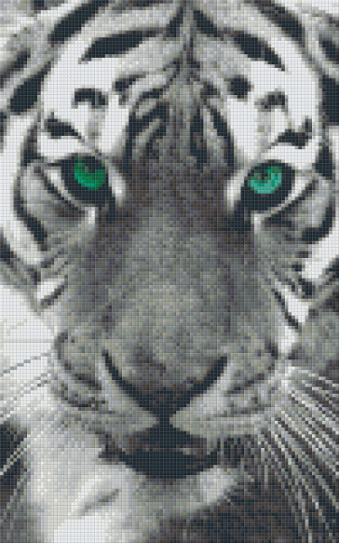 808048 Pixelhobby Klassik Set Tiger mit grünen Augen