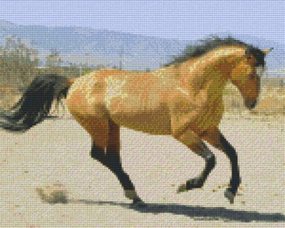 809139_Pixelset-Pferd-braun-3