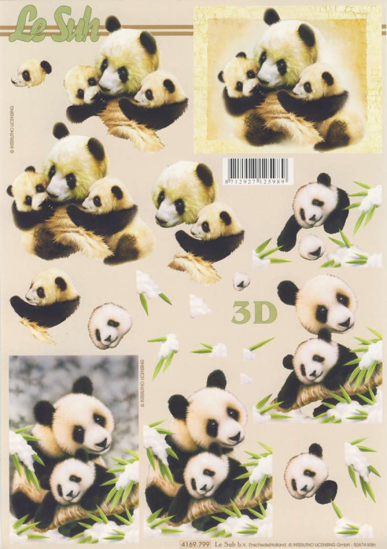 4169.799 3D Motivbogen A4 Pandabär