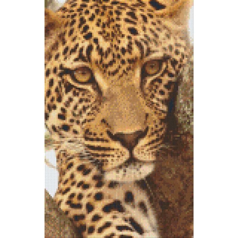 808038 Pixelhobby Klassik Set Leopard 11