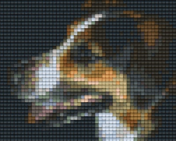 801168 Pixelhobby Klassik Set Hund Ronja