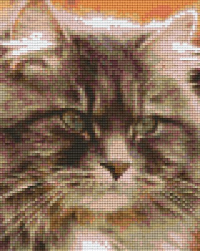 804219 Pixelhobby Klassik Set Katze grau 2