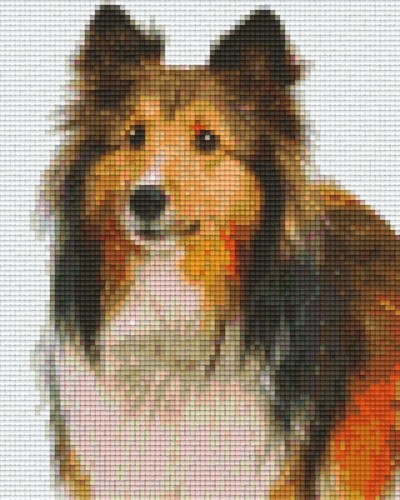 804266 Pixelhobby Klassik Set Collie 2