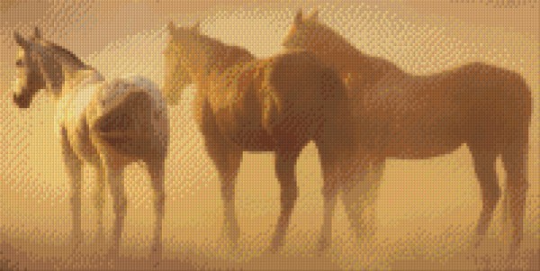 Set Drei Pferde 1