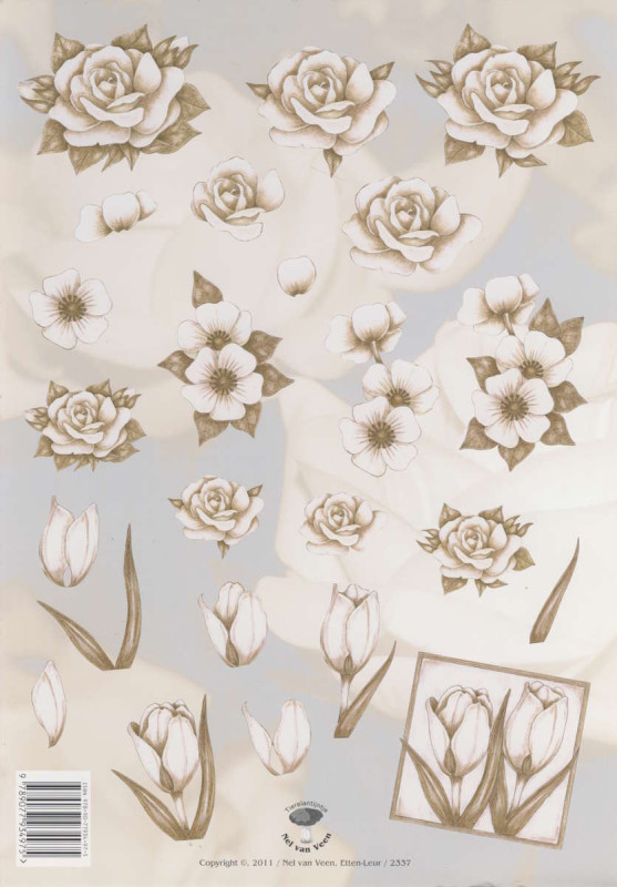2337 3D Motivbogen A4 White Roses
