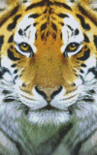 px808078_Pixelset-Tigerkopf-3