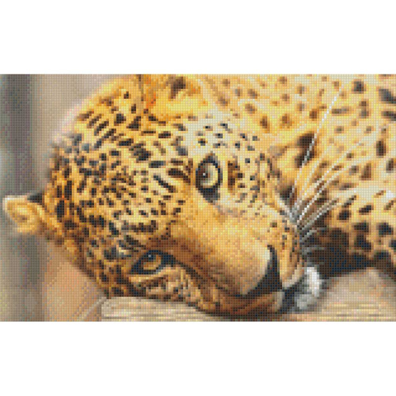 808096 Pixelhobby Klassik Set Leopard 10