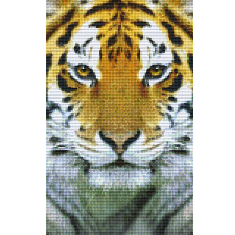 808078 Pixelhobby Klassik Set Tigerkopf 3