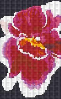 802008 Pixelhobby Klassik Set Orchidee