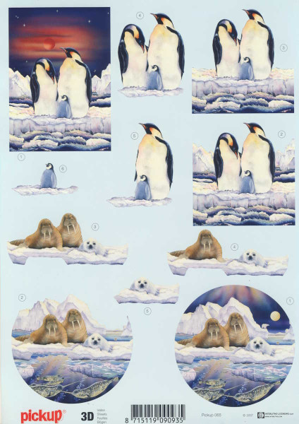 pu065 3D Motivbogen A4 Pinguin und Walross