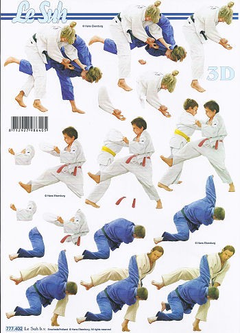 Motivbogen Judo