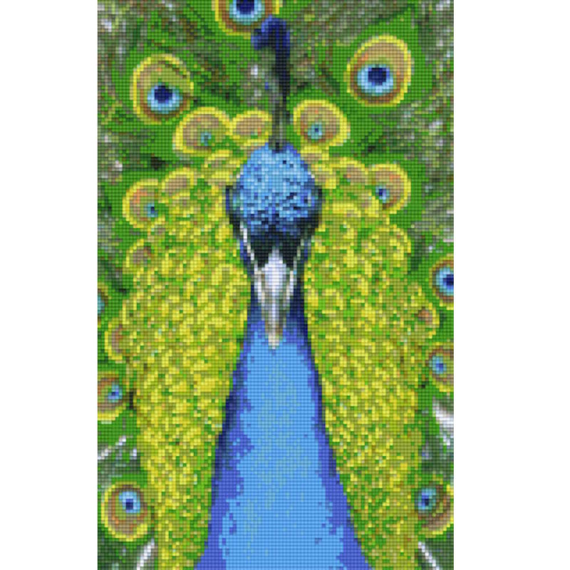 808085 Pixelhobby Klassik Set Pfau 5