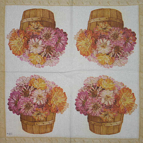Serviette Flowering Time