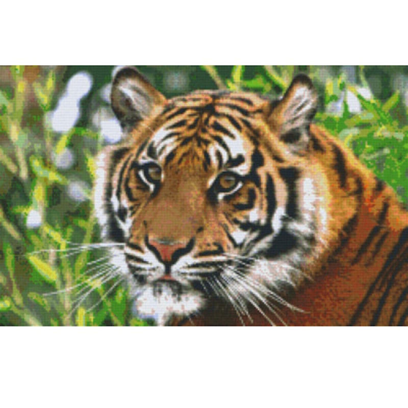 820079 Pixelhobby Klassik Set Tiger 7