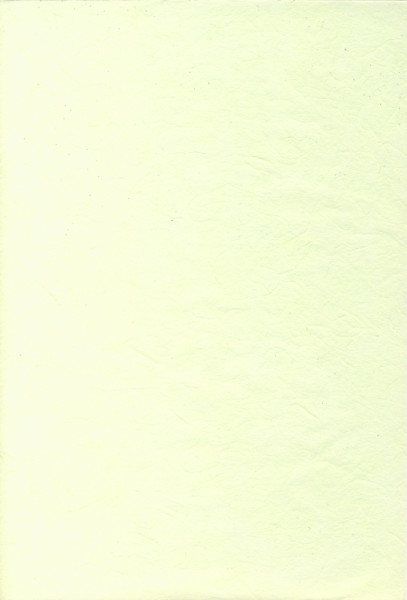 1012563 Naturpapier Strohseide A4 hellgrün