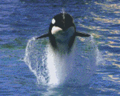 809163_Pixelset-Orca-2