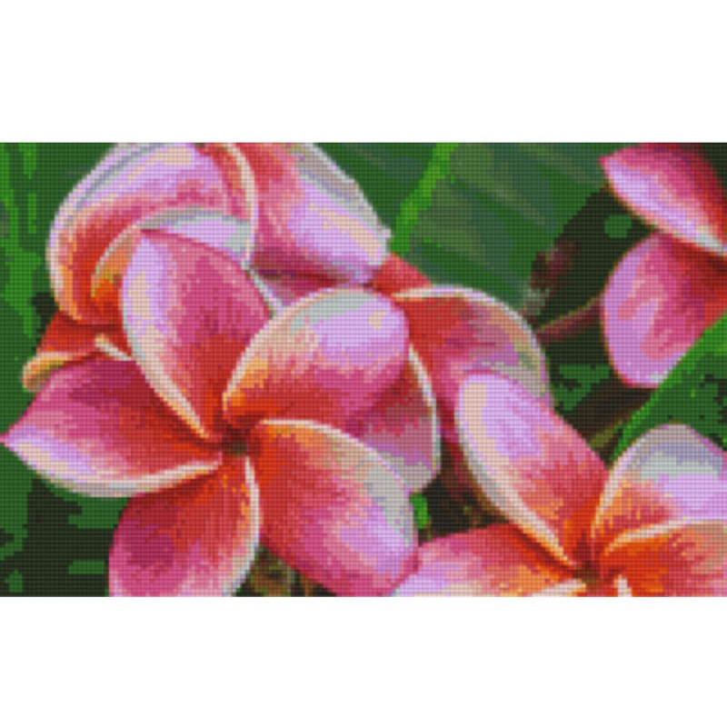 808108 Pixelhobby Klassik Set Blumen rosa 2